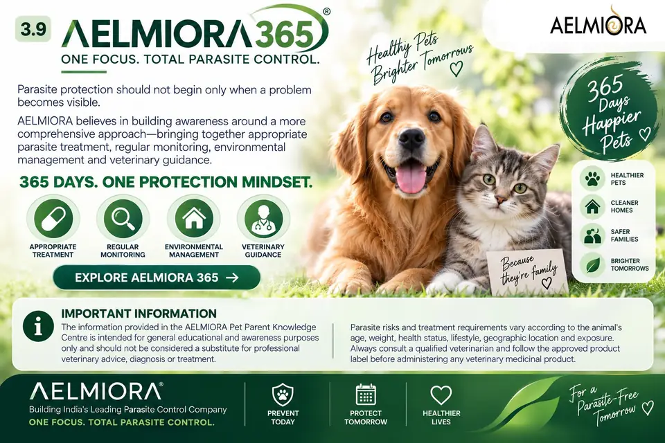 Infographic: AELMIORA 365, summarising the AELMIORA 365 approach: appropriate treatment, regular monitoring, environmental management and veterinary guidance. The same information is in the text on this page.