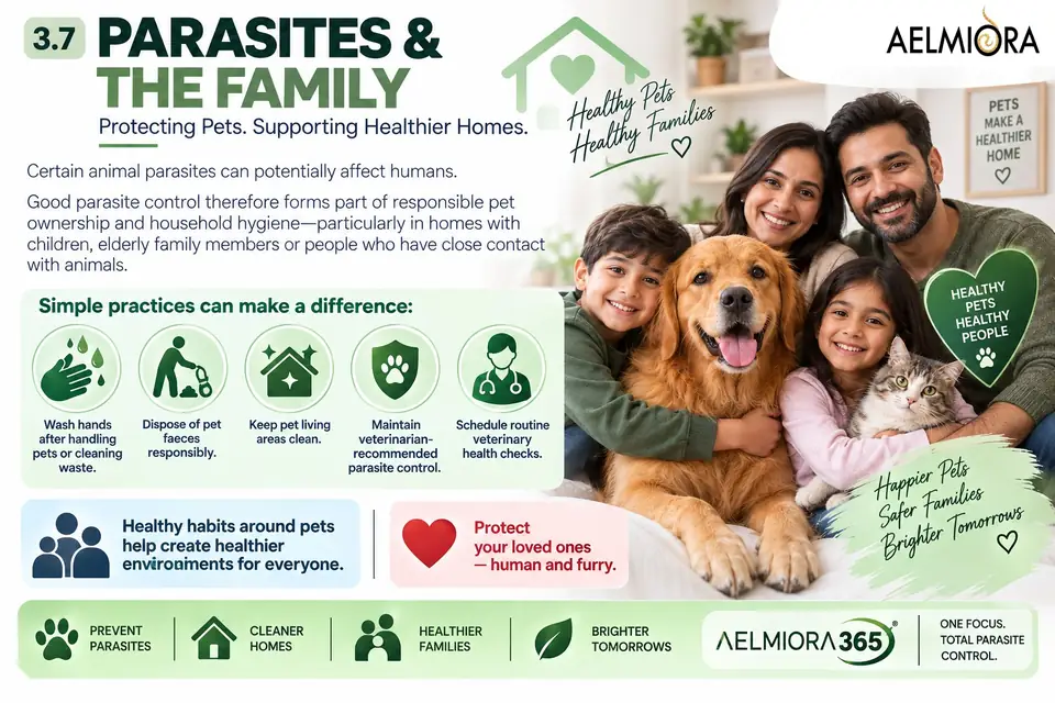 Infographic: Parasites & the family, summarising five simple hygiene practices for households with pets. The same information is in the text on this page.
